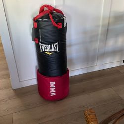 Punching Bag MMA
