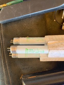 Fluorescent Lamp