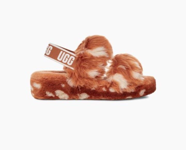 UGG Slippers 