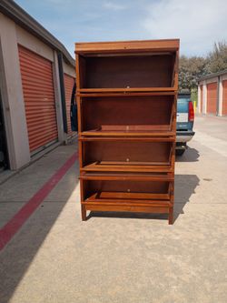Goble Wernicke's Bookcase