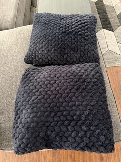 2 Blue Soft Throw Pillows for Couch