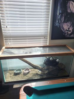 Reptile Aquarium