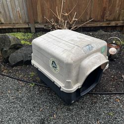 Dog House 