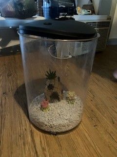 Small Round Fish Tank