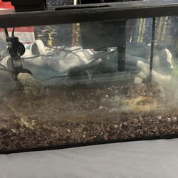 10 Gallon Fish tank