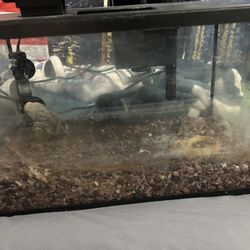10 Gallon Fish tank
