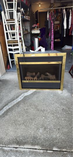 Electric Fireplace Insert
