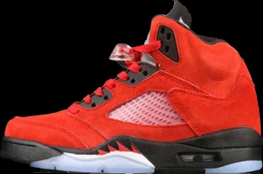Jordan 5 Raging Bull