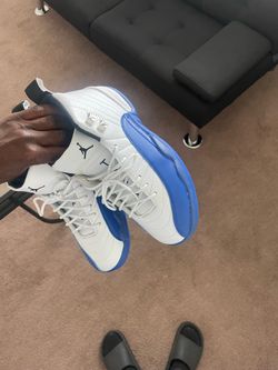 Blueberry 12ss