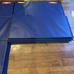 Premier Martial Arts Mat (Blue) - Sold Separately 