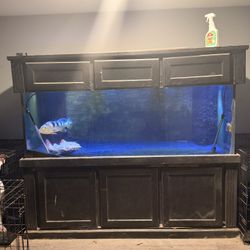 300 Gallon Fish Tank!!!!!