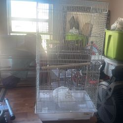 Bird Cage