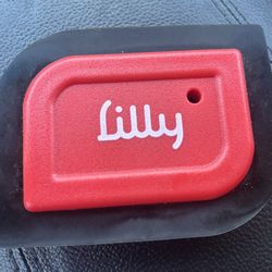 Lilly Brush