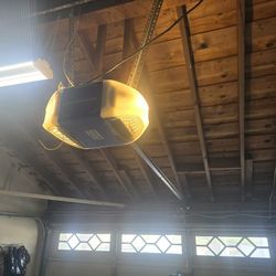 Smart Home Garage Door Opener / Motor Puerta Garaje