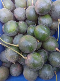 Huge Organic avocados 4th of July special