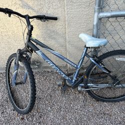 Giant Mountain Bike 
