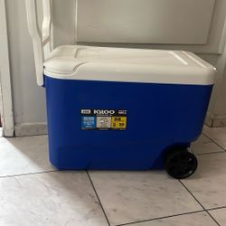 Igloo Cooler