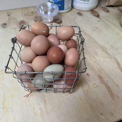 Fresh Organic Eggs 