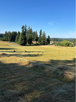 Fresh baled Grass Hay