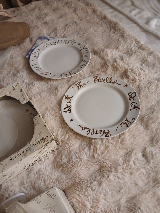 Set Of 12 Beautiful Christmas Dinner Plates