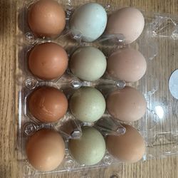 Farm Fresh Eggs