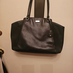 Large Kate Spade Totestyle Inside Mint Smke pet Free