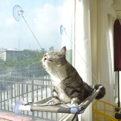 Cat Window Hammock Bed