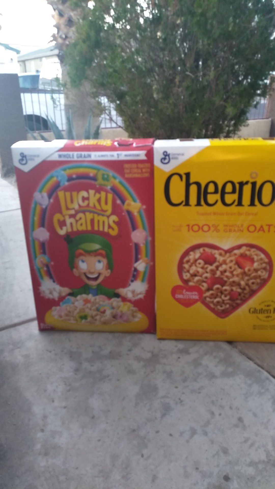Cereal box props