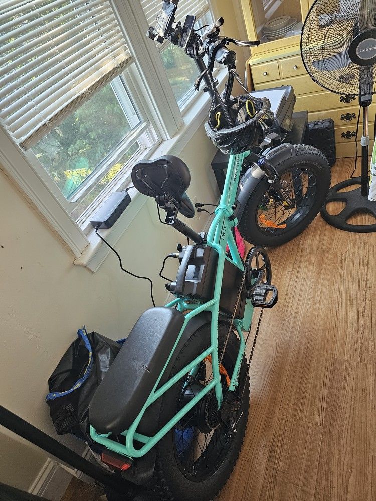 750watt 32ah 48v Electric Bike 