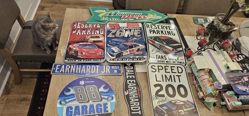 Assorted Earnhardt Signs