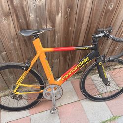 Canondale multisport 1000