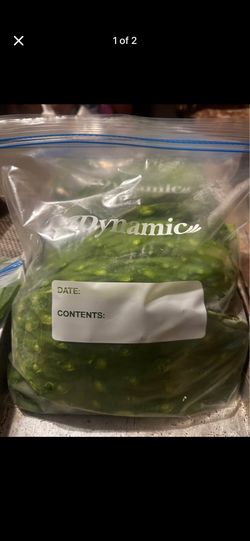 Cactus 🌵 Nopales