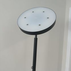 71.65 in. Black LED Floor Lamp