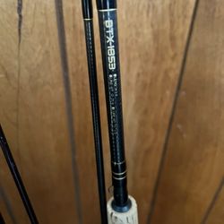 Shimano Salmon Steelhead Fishing Rod