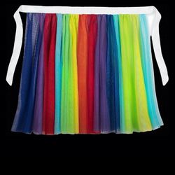 Disney Rainbow Skirt 