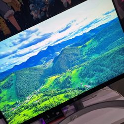 LG 4K Monitor