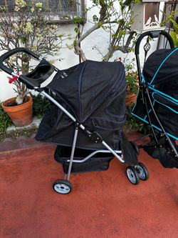Coche para mascotas