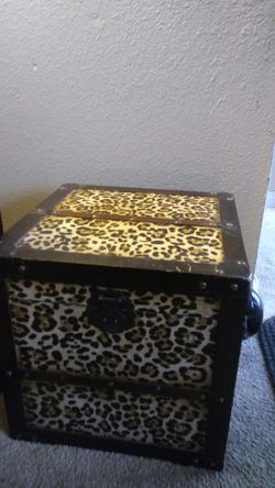 Cheetah Storage Box