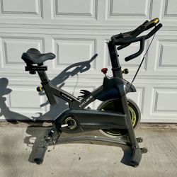 Cyclace Exercise Bike- Like New
