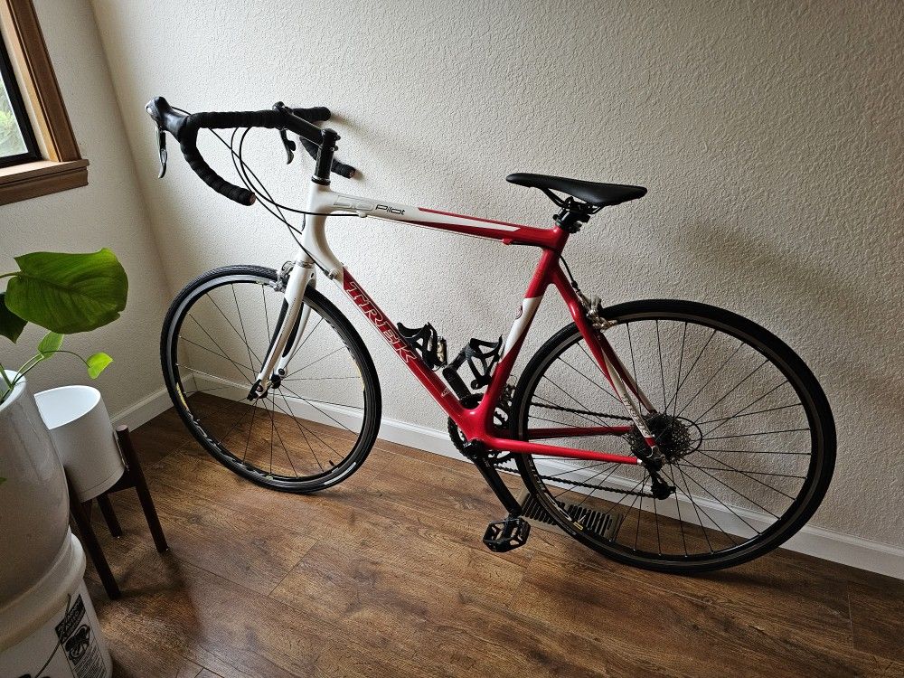 63cm Trek Pilot 5.0 CF