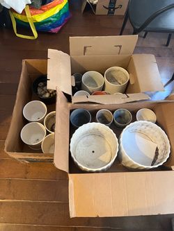 Lots of plant pots, $15 for large $5 for small $100 for all