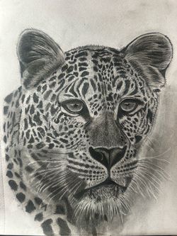 Original Leopard Charcoal Drawing