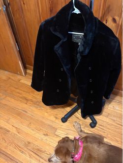 Express Black Coat