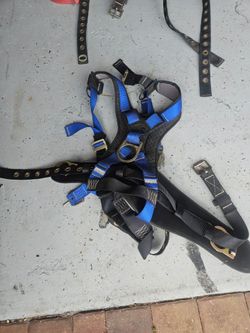 Safety Harness