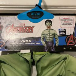Hulk Costume 