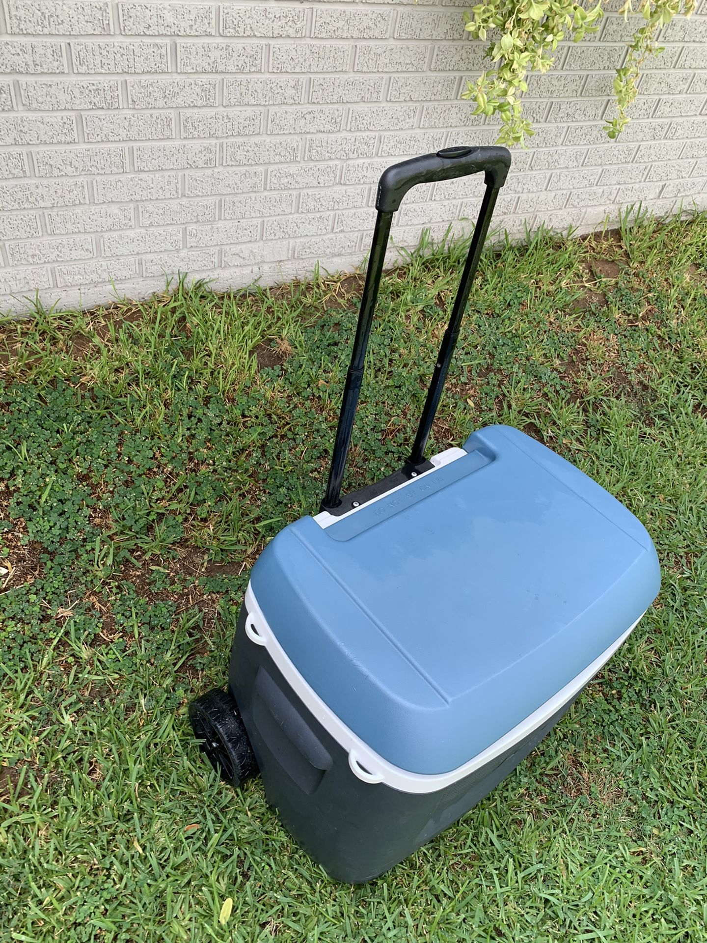 Igloo cooler/ice chest