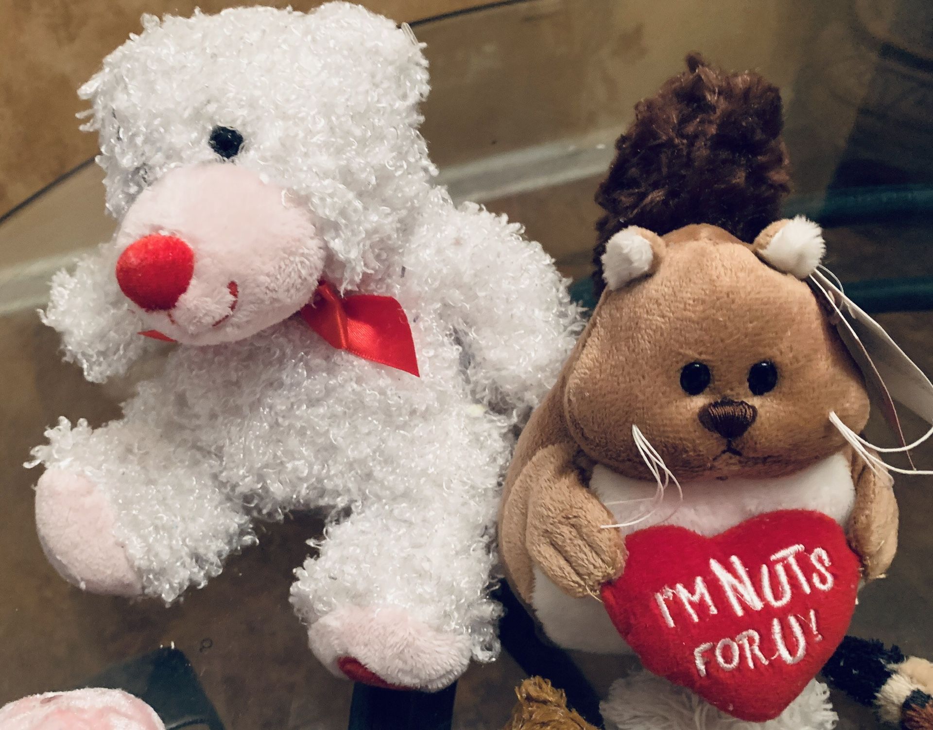 Fluffy Teddy Bear & I’m Nuts for You Chipmunk