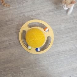 Interactive  Cat Toys