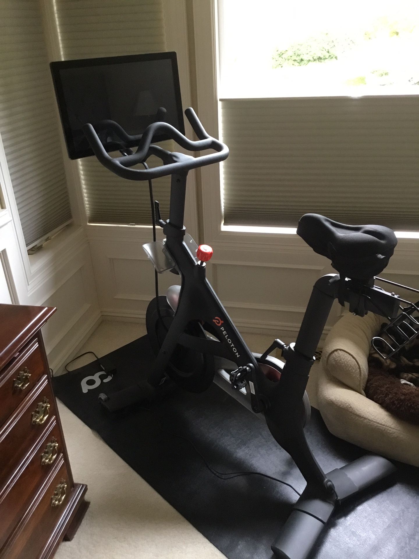 Peloton Bike