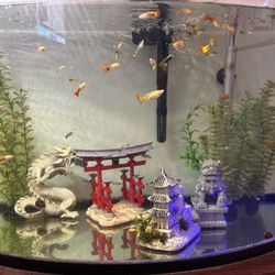 Fish Tank 36 Gallon 